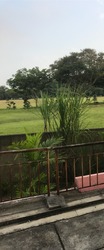 The Woodgrove (D25), Apartment #168872662